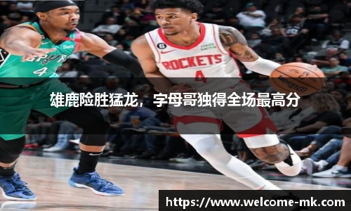 雄鹿险胜猛龙，字母哥独得全场最高分